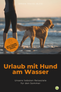 Ein brauner Hund steht mit seinem Mensch im flachen Meerwasser. Es ist Sonnenuntergang. So sieht nachhaltiger Hundeurlaub aus. 