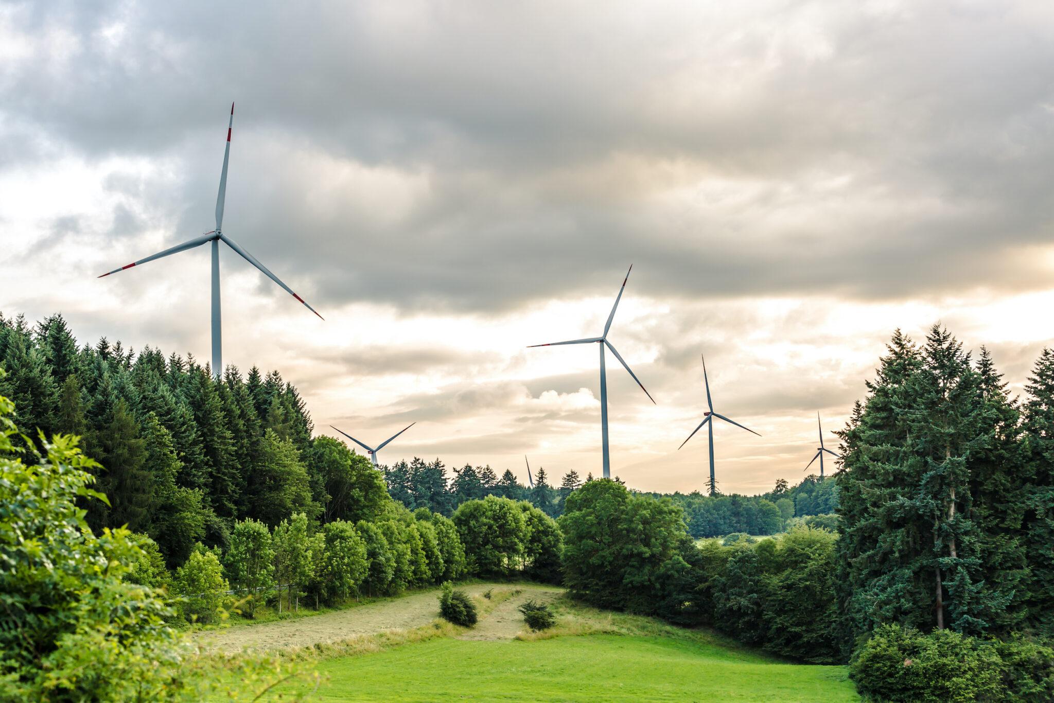 Why “Going Carbon-Neutral” is not necessarily Climate Protection