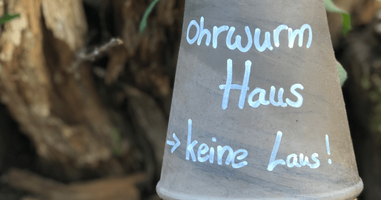 Artenschutz im Alltag – das kannst selbst du tun