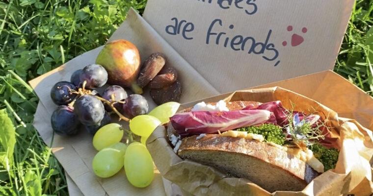 Veganismus – 7 Tipps, wie du ein bisschen veganer wirst