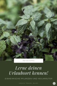Entdecke typische Pflanzen deines Urlaubsorts
