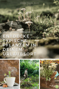 Nachhaltig reisen = Genau hinschauen, z. B. by typischen Pflanzen deines Urlaubsorts