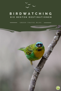 Nachhaltige Destinationen für Birdwatching weltweit