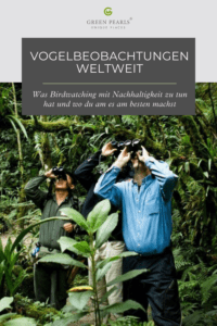Birdwatching weltweit – Das sind die besten nachhaltigen Hotels dafür