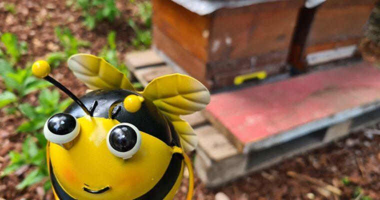 Biodiversität im Garten fördern