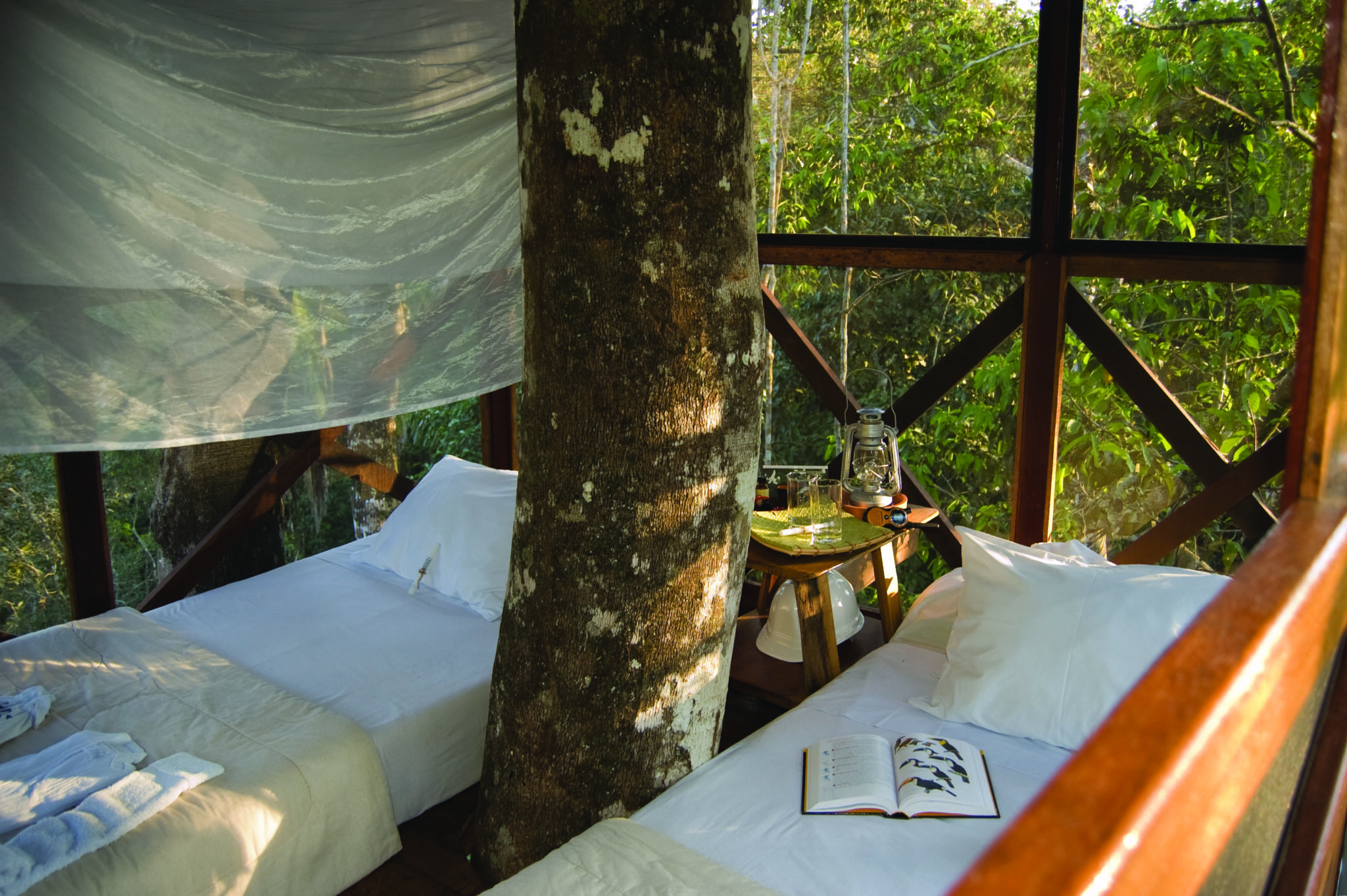 Treehouse Hotels: Sustainably conscious hotels in the treetops