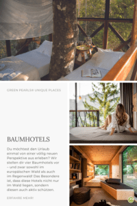 Entdecke nachhaltige baumhotels und Baumhaushotels weltweit
