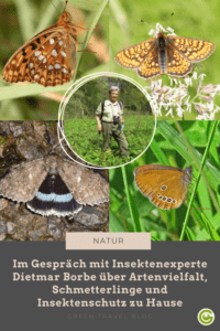 Nachhaltigkeit im Alltag: Insektenschutz zu Hause