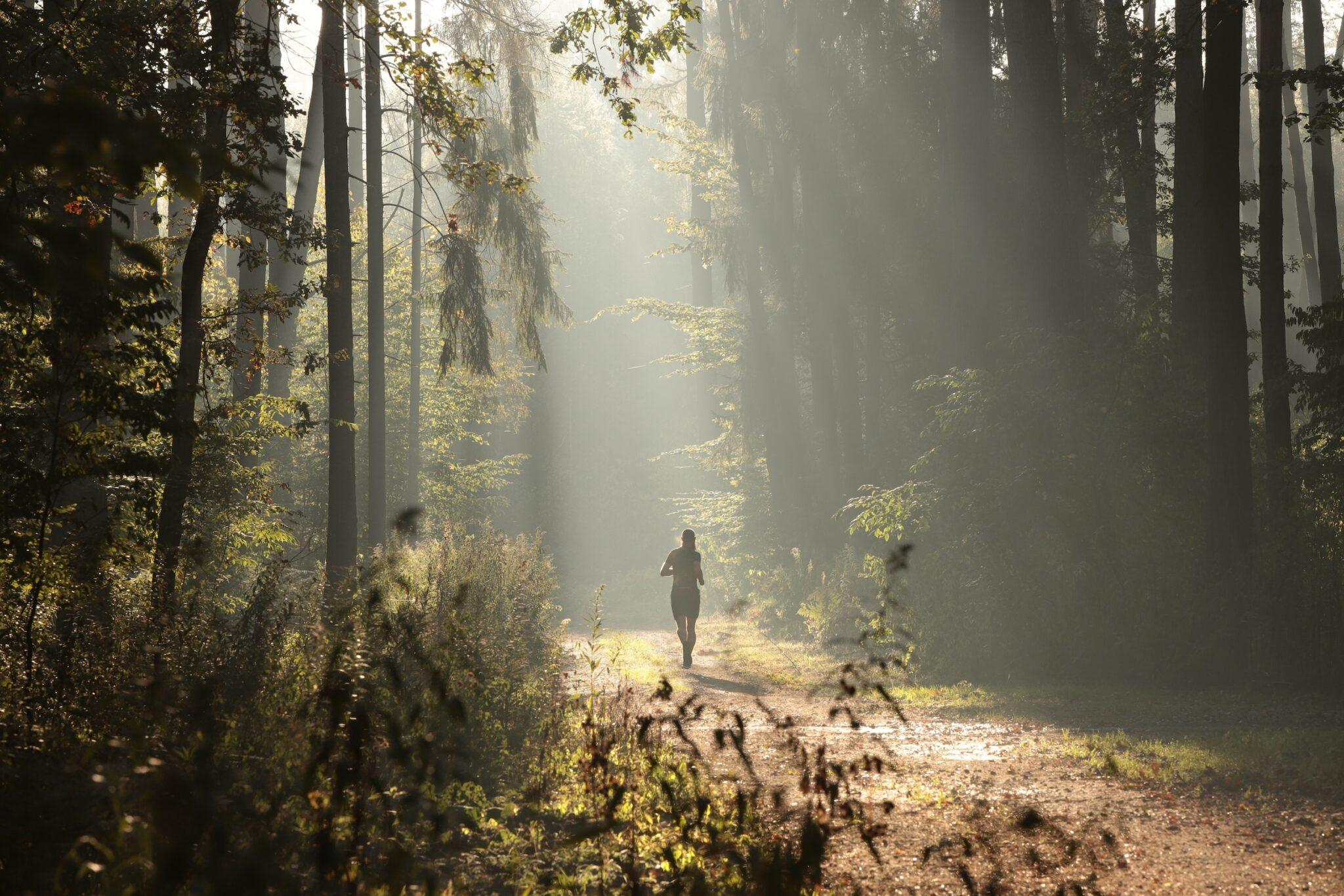Trail running in Germany – Tips and Trails from and near the sustainable Green PearlsⓇ Hotels | Part 1 from 2