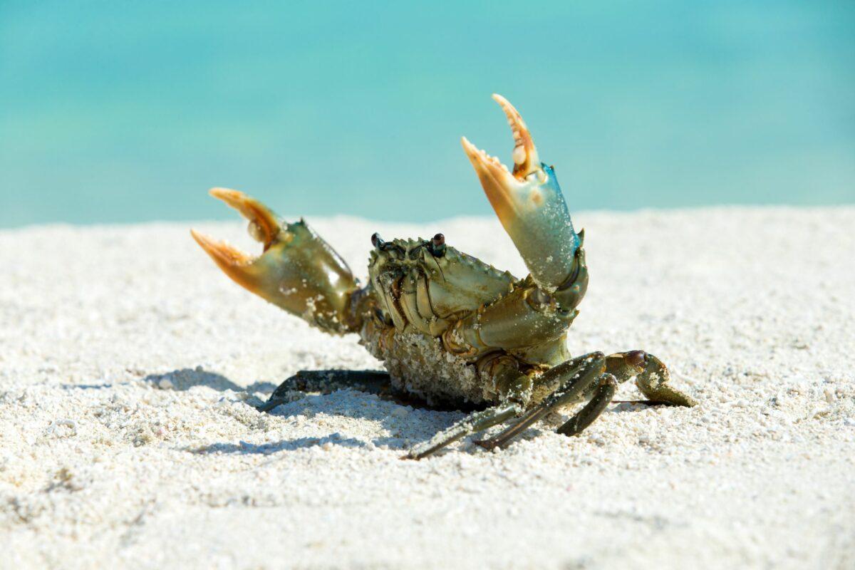 A sustainable beach vacation – Tips and eco-friendly accommodations