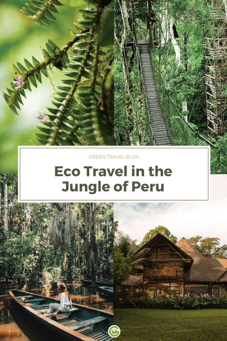 Peru - A sustainable jungle adventure in the Amazon