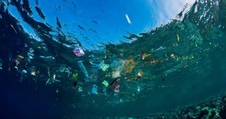 Mikroplastik und seine Auswirkungen auf die Umwelt
