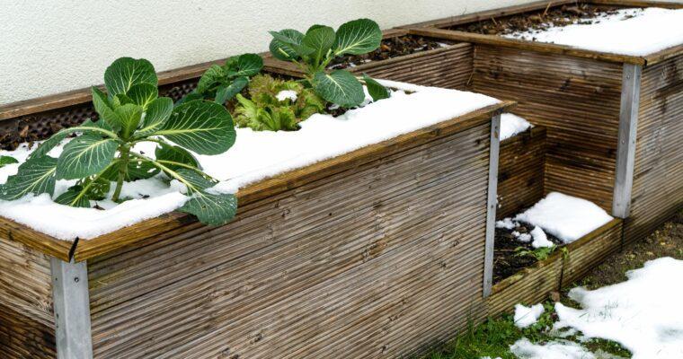 Hochbeet für den Winter vorbereiten – 4 Tipps