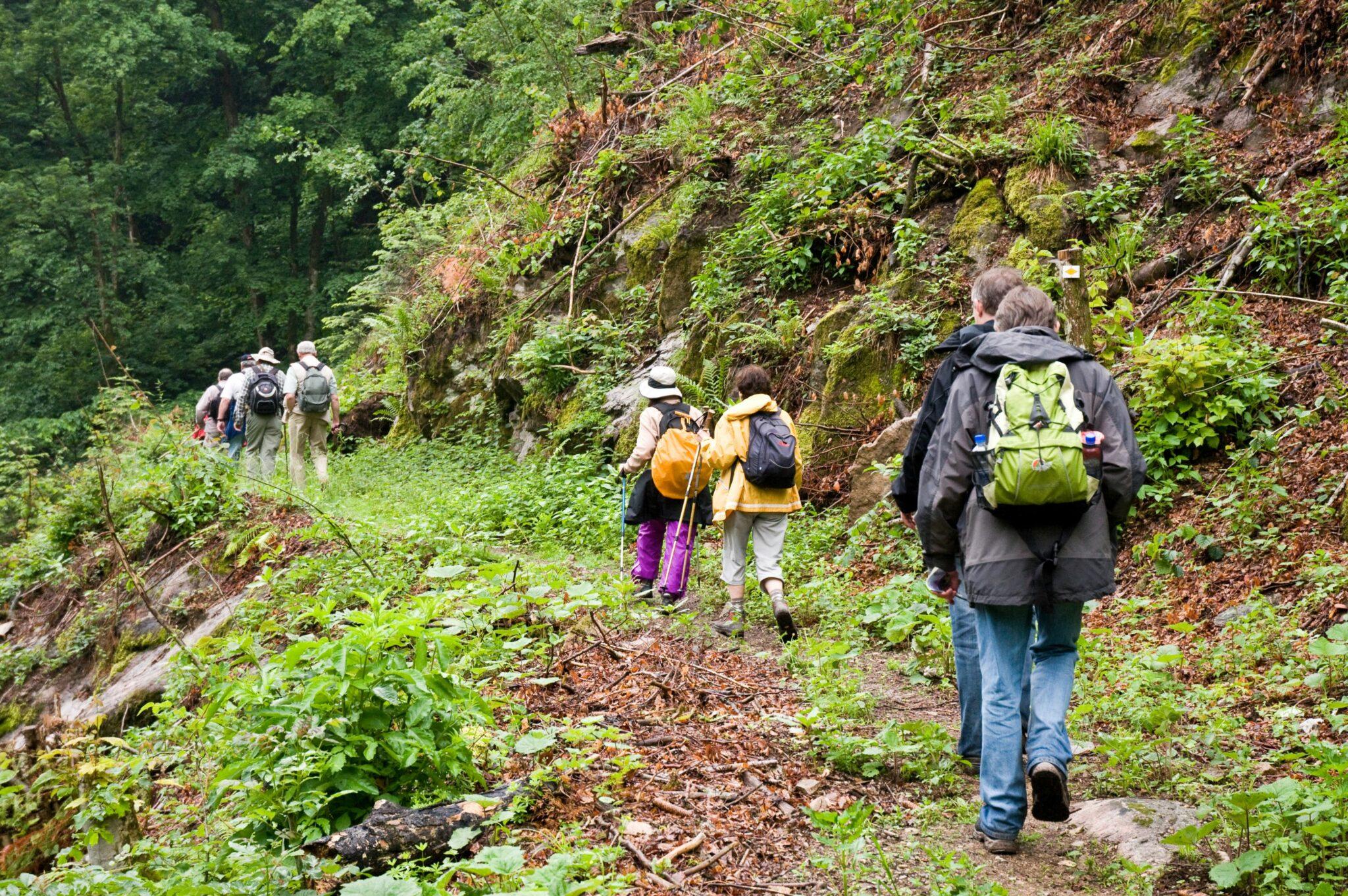 Going Green – Nachhaltiges Teambuilding Wochenende im SCHWARZWALD PANORAMA