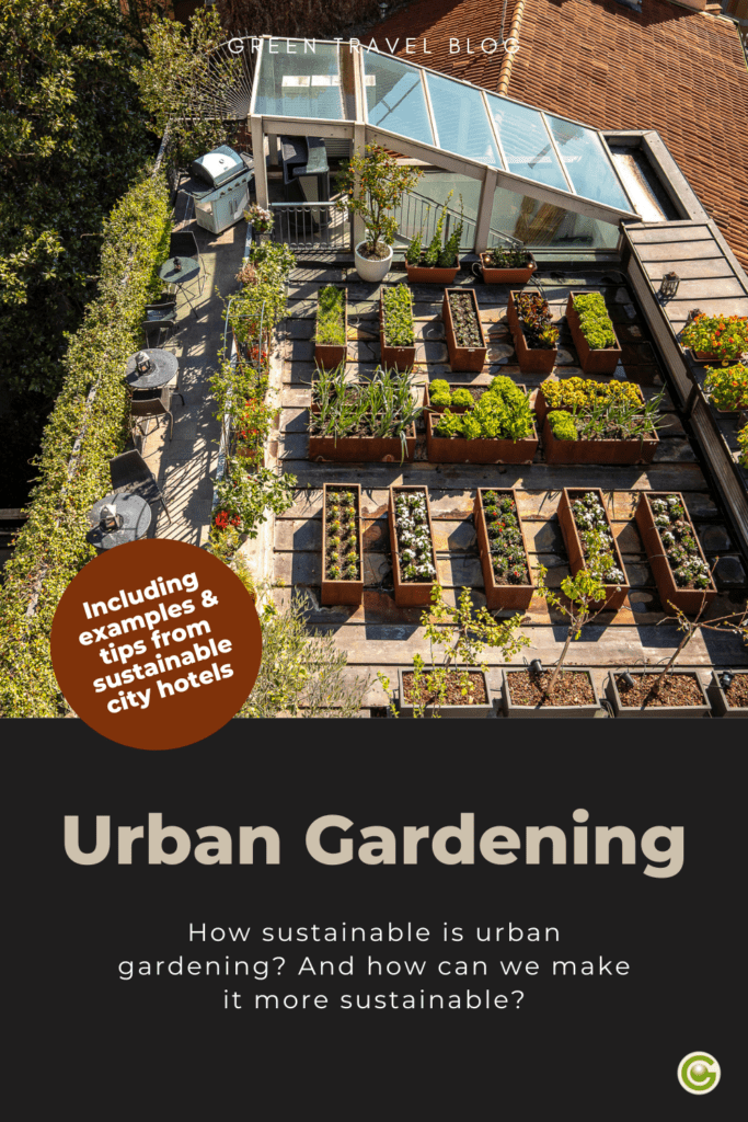 How sustainable urban gardening is | Tips & practical examples