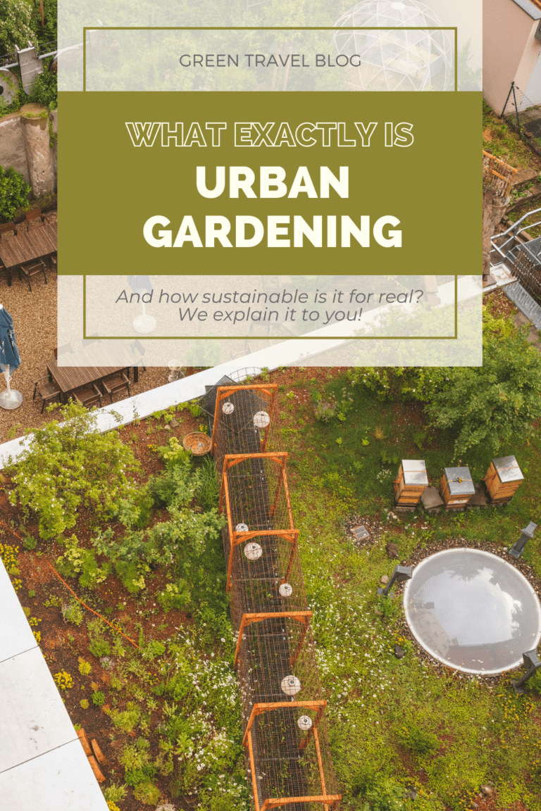 How sustainable urban gardening is | Tips & practical examples