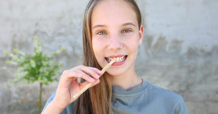 Miswak statt Hightech: Ich nutze die umweltfreundliche Reisezahnbürste der Welt