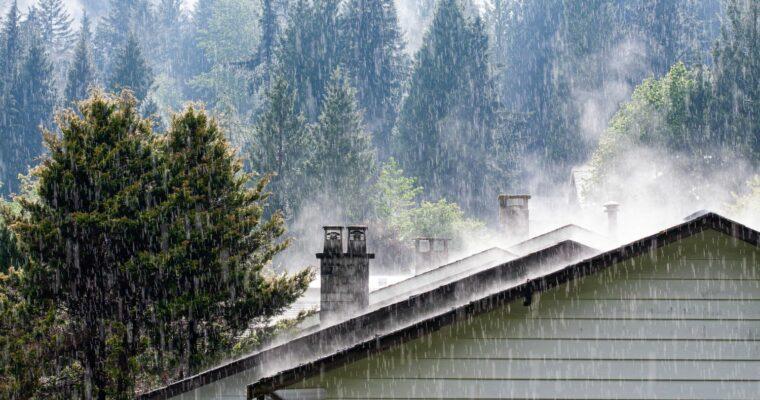 Hitze, Starkregen, Pollen – wie du dein Zuhause gegen den Klimawandel wappnest