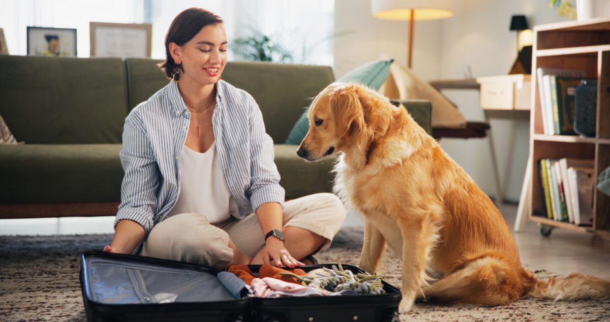 The best hotels for a sustainable vacation with your dog