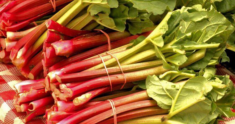 Rhabarber – ein unterschätztes Superfood