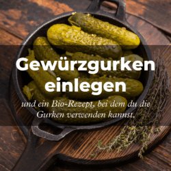 Mehrere Gewürzgurken liegen aufgeschnitten in einer gusseisernen Pfanne, die auf einem dunklen Holztisch steht. Daneben liegen einige Zweige frischer Kräuter. In der Bildmitte steht in großer, weißer Schrift: 'Gewürzgurken einlegen'. Darunter folgt in kleinerer Schrift: 'und ein Bio-Rezept, bei dem du die Gurken verwenden kannst.'