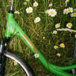 Grünes Fahrrad mit dem Schriftzug 'Niederrhein' liegt auf einer Wiese mit vielen kleinen weißen Gänseblümchen