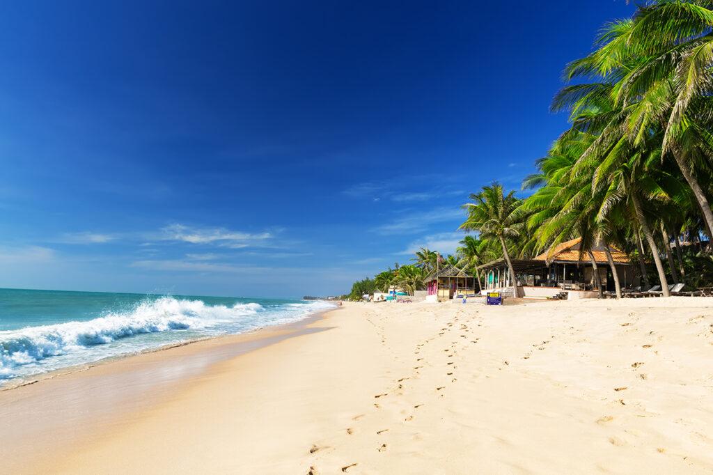 Feiner Sandstrand mit Palmen in Vietnam