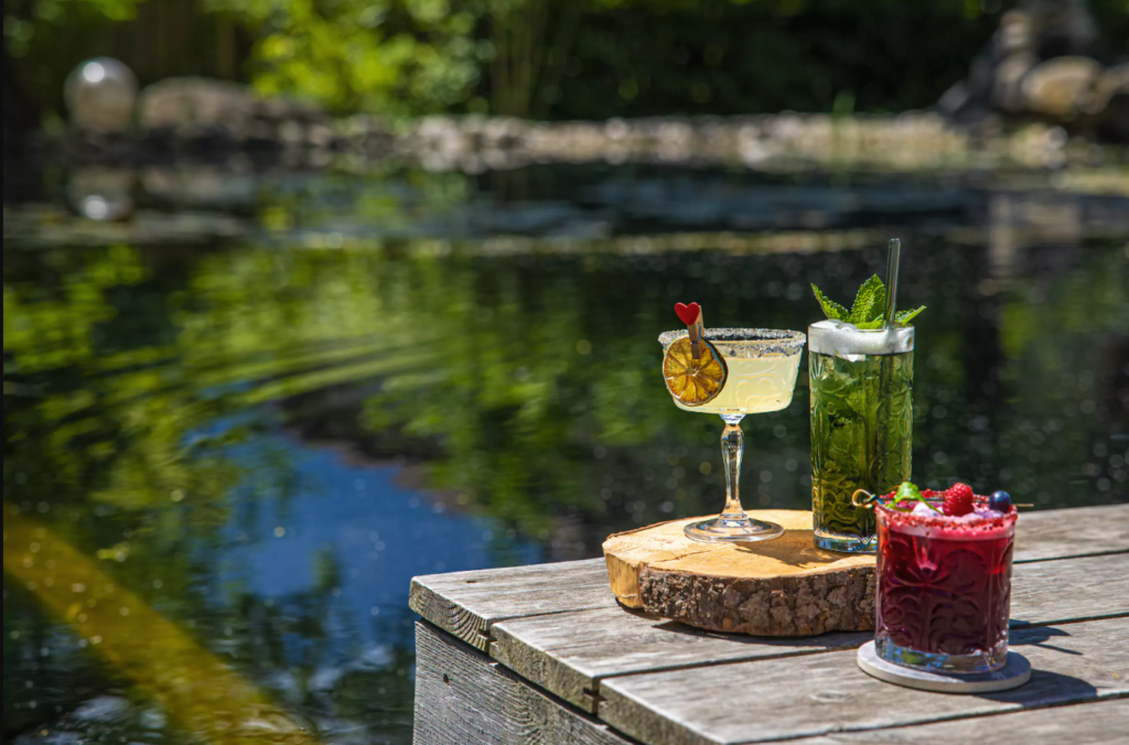 Bunte Drinks in der Sonne am Schwimmteich vom Hotel LA VIMEA Vegan 