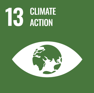 SDG goal 13