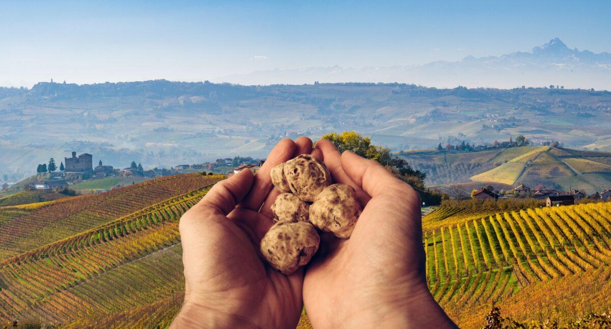White truffle: It’s better to travel to it than to fly it in